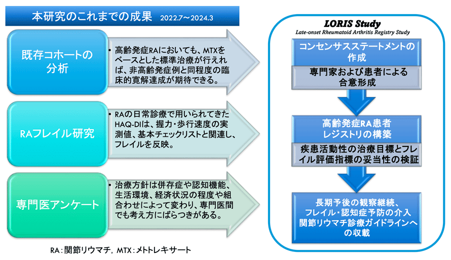 この図は本研究において2021年12月9日までに分かったことを3項目に分けてまとめたものです。 1、既存のリウマチ患者さんを対象としたコホートデータを分析し、近年高齢発症例が増加していること、メトトレキサートや生物学的製剤により十分な治療がおこなえた場合、非高齢者と同程度の臨床的寛解率が期待できること、一方、高齢発症例では有害事象の発生率が高いことが分かりました。 2、リウマチ患者さんを対象としたフレイル研究を通して、身体機能評価指標のハックが身体的フレイルを反映すること、握力や歩行速度の低下が薬剤の選択と有意に関連していることが分かりました。 3、専門医アンケートの結果から、専門医の間でも計画策定時の目標設定や薬剤の選択・投与量にばらつきがあることが分かりました。  これらのことを踏まえ、今後は高齢発症RA患者のレジストリを構築し、検証結果に基づく治療方針の提案、診療ガイドラインへの収載、長期予後の観察継続を目指していきます。