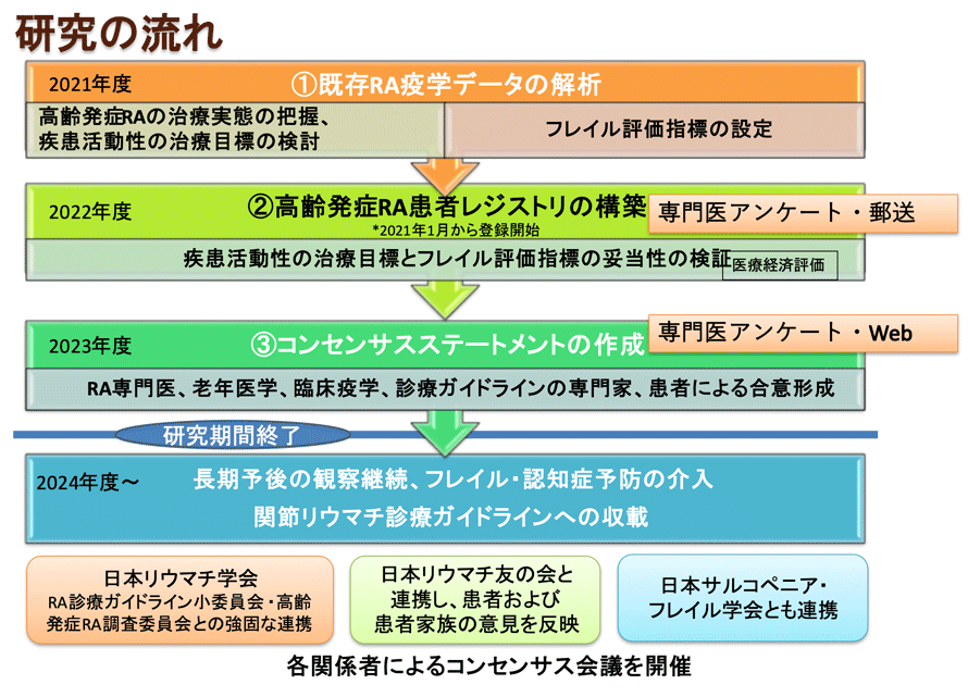 研究の流れ